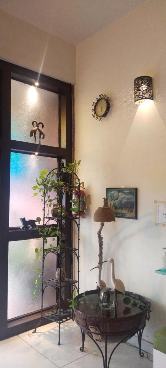 Rangbaari Stays & Cafe Jodhpur  Ngoại thất bức ảnh